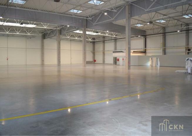 Lokal użytkowy Kraków Podgórze, Rybitwy, Rybitwy