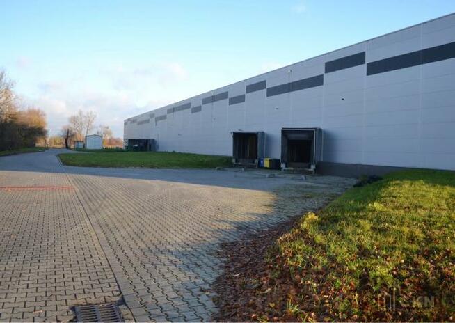 Lokal użytkowy Kraków Podgórze, Rybitwy, Rybitwy