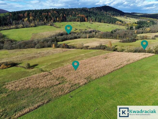 Działka rolna Daliowa gm. Jaśliska,