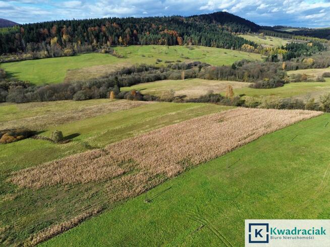 Działka rolna Daliowa gm. Jaśliska,