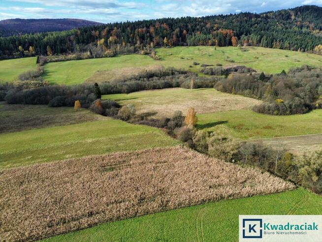 Działka rolna Daliowa gm. Jaśliska,