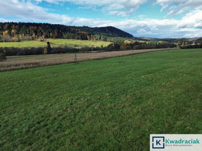 Działka rolna Daliowa gm. Jaśliska,