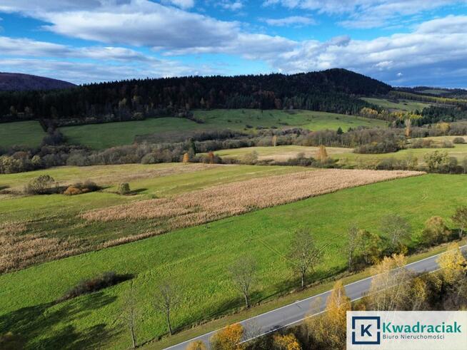 Działka rolna Daliowa gm. Jaśliska,