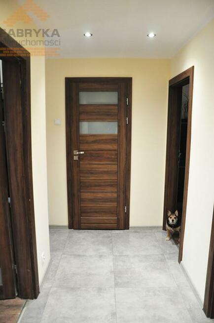 Mieszkanie Płock, Północna