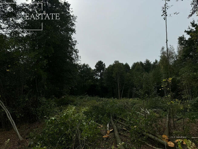 Działka rolna Miąse gm. Tłuszcz,