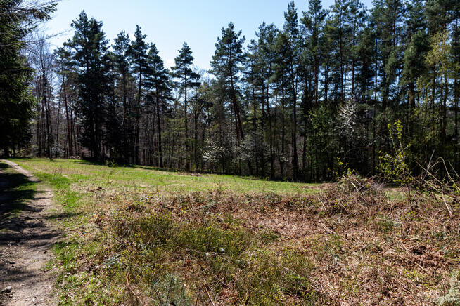Na sprzedaż dom w Jastrzębi z działką
