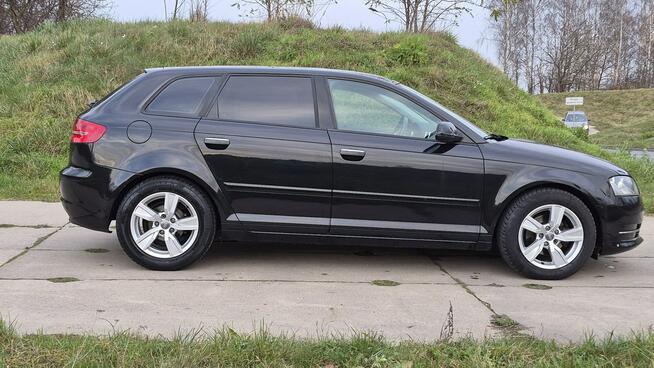 Audi A3 _1.6TDI 105KM_Skóra Climatronic Grzane Pdc Polski Salon