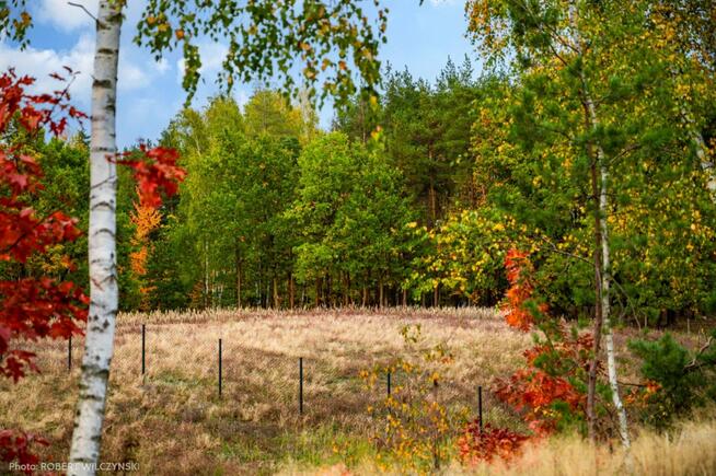 Prywatne Wzgórze Morenowe – Panorama i Cisza