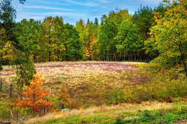 Prywatne Wzgórze Morenowe – Panorama i Cisza