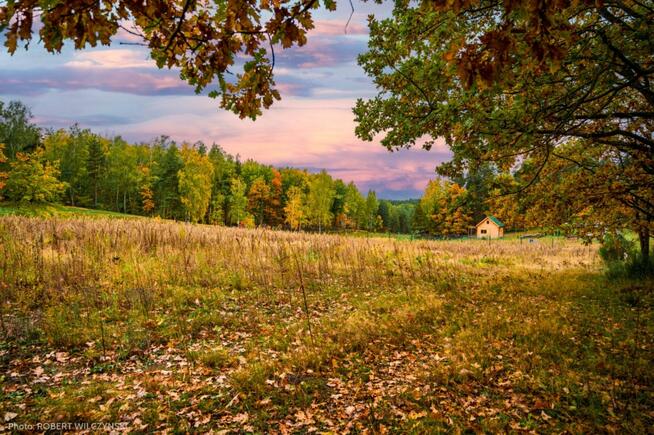 Prywatne Wzgórze Morenowe – Panorama i Cisza
