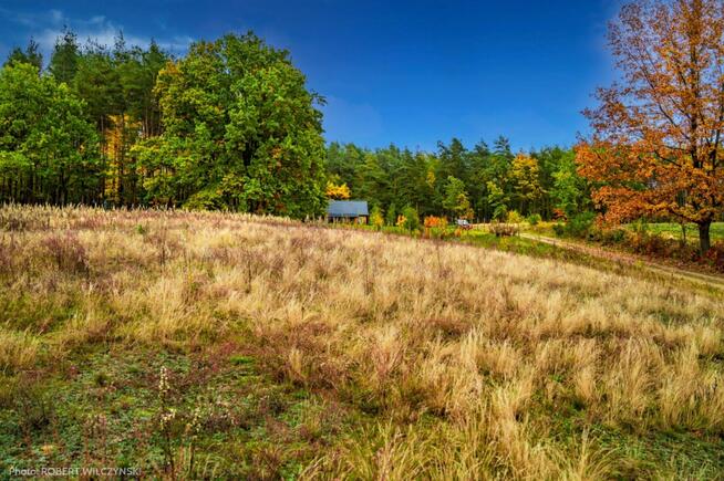 Prywatne Wzgórze Morenowe – Panorama i Cisza