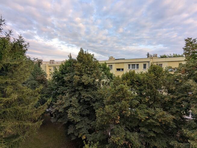 Słoneczne, ustawne M3 na Strzelców + garaż 70 tys.