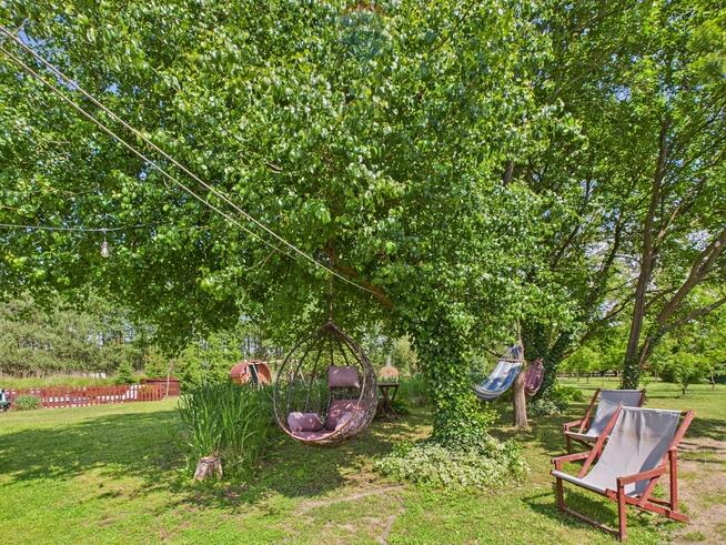 Ranczo w lesie z wyspą stawem basenem stajnią