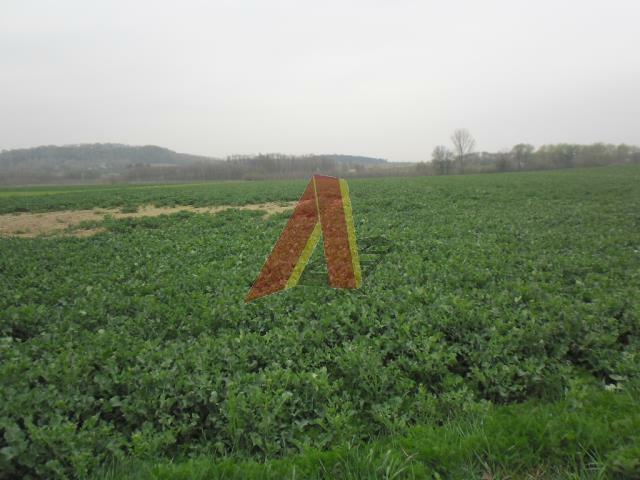 Działka usługowa Kraków Krowodrza, Olszanica, Olszanicka