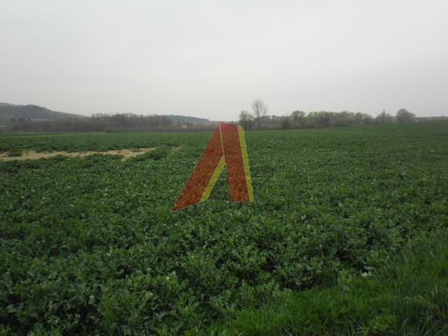 Działka usługowa Kraków Krowodrza, Olszanica, Olszanicka