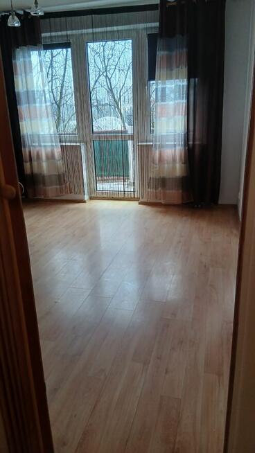 Do wynajmu duza kawalerka w centrum Szczecina Bez posrednika