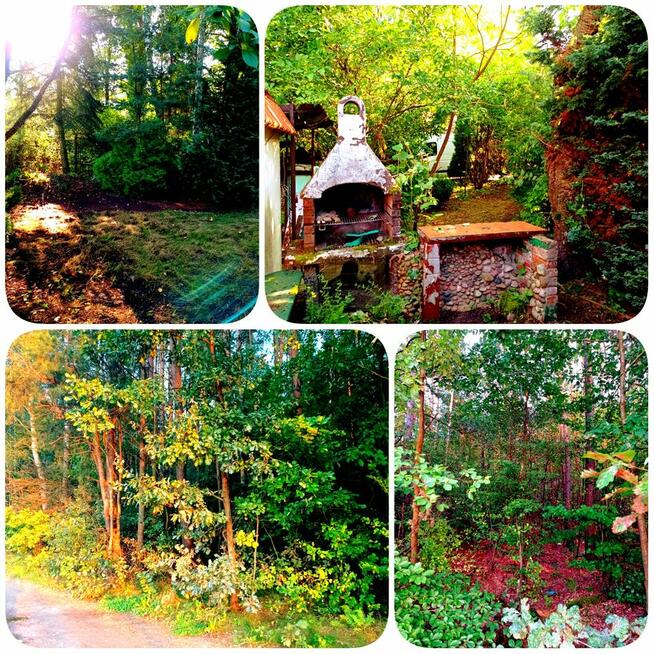 Dwa Domy na Wsi Las Leśniczówka