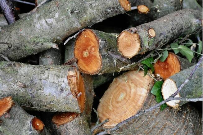 Drewno do wędzenia wiśnia śliwa śliwka jabłoń grusza 1kg 4L