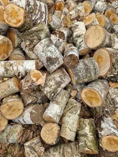 Drewno kominkowe opałowe kominka brzoza 1kg 4L kawałki wysy
