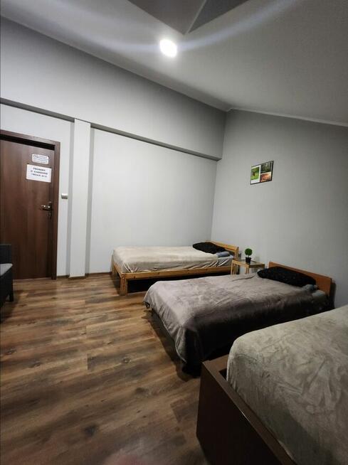 Zalesie Górne Noclegi