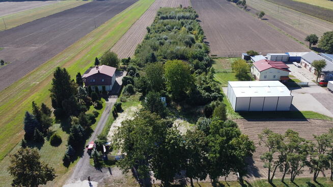 Działka 12 000 m² do wynajęcia – Sochaczew, ul. Poznańska FV