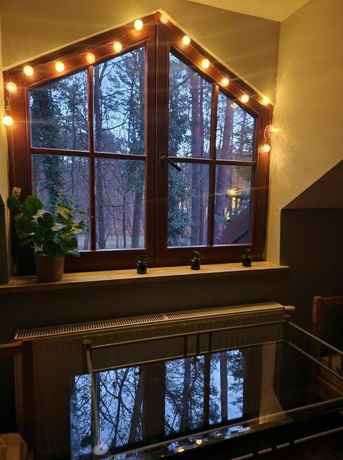 Zalesie Górne Noclegi