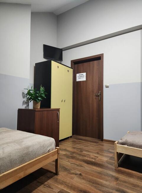 Zalesie Górne Noclegi