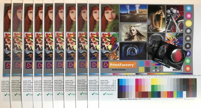 Program ProofMaster RIP licencja 1 miesiąc Epson SC-P5300