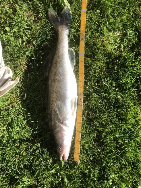 Apartament w górach Międzybrodzie na Święta i Sylwester