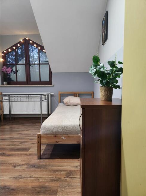 Zalesie Górne Noclegi