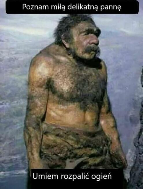 Przyjaźni szukam, czy znajdę ? Oto jest pytanie.