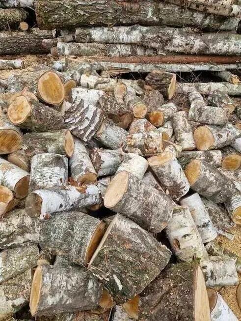 Drewno kominkowe opałowe kominka brzoza 1kg 4L kawałki wysy