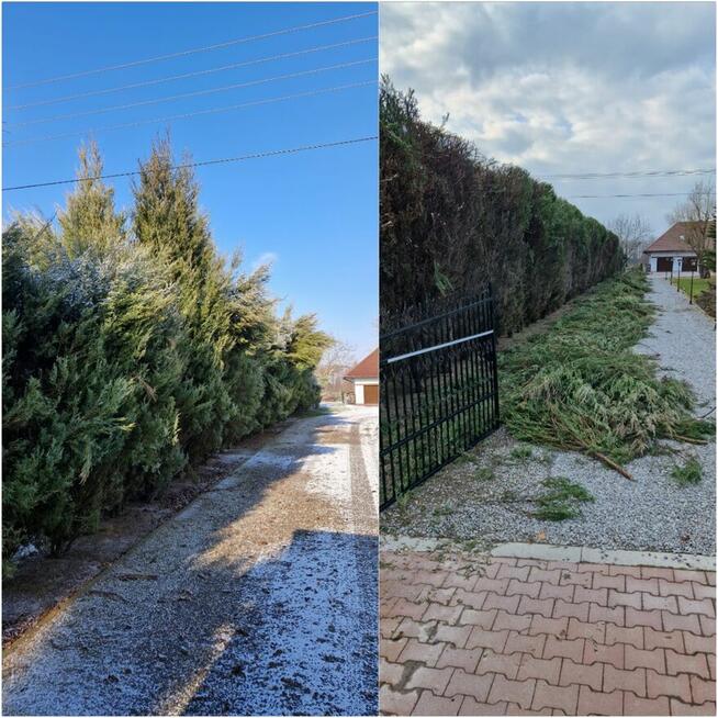 Wywóz śmieci i gabarytów