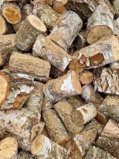 Drewno kominkowe opałowe kominka brzoza 1kg 4L kawałki wysy