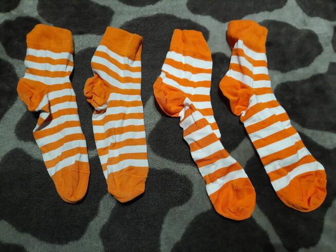 Skarpetki w paski biało pomarańczowe Calzedonia UOMO uniseks