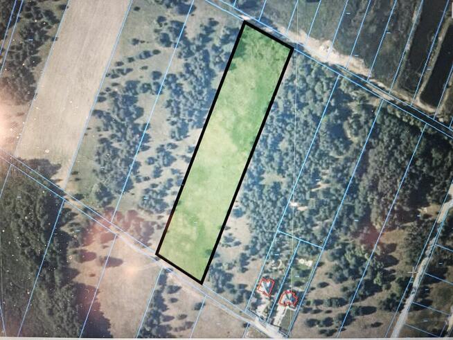 Sprzedam działkę bud- rolną w Łabędziowie 1,1 ha Morawica