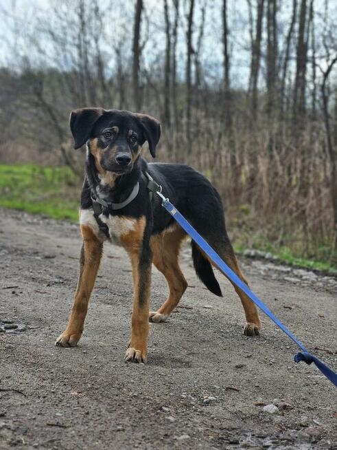 Czy musze mieć pecha do końca życia? Koral