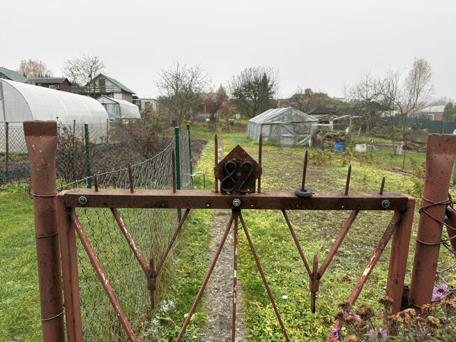 ODSTĄPIĘ DZIAŁKĘ ROD w MRĄGOWIE