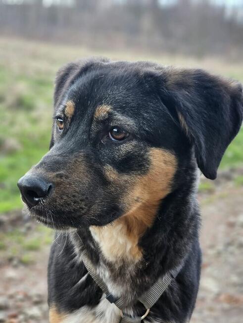 Czy musze mieć pecha do końca życia? Koral