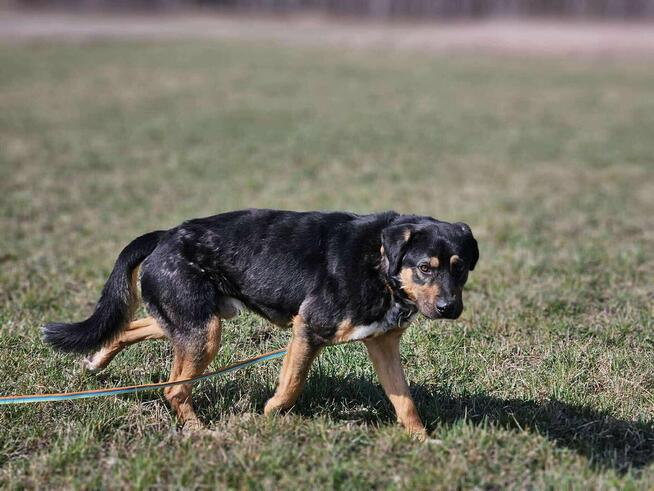 Czy musze mieć pecha do końca życia? Koral