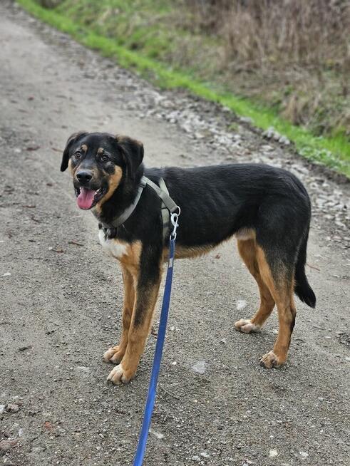 Czy musze mieć pecha do końca życia? Koral