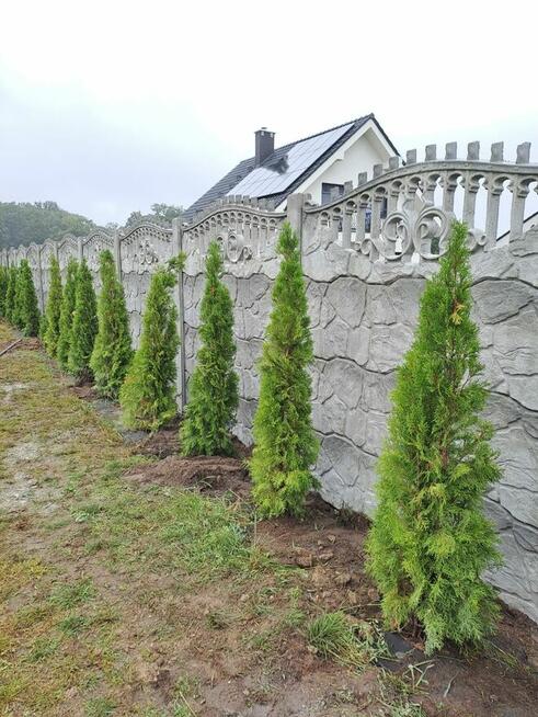 Ogrodzenia betonowe Strzelin Montaż Transport
