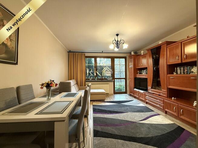 Kawalerka w pięknym leśnym otoczeniu