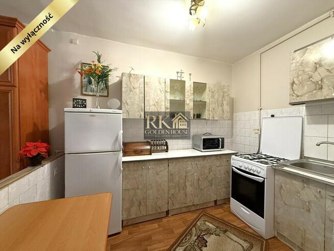 Kawalerka w pięknym leśnym otoczeniu