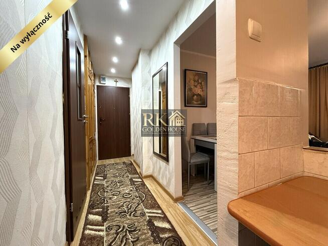 Kawalerka w pięknym leśnym otoczeniu