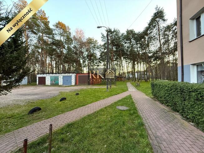 Kawalerka w pięknym leśnym otoczeniu