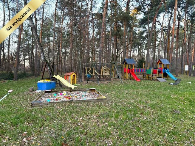 Kawalerka w pięknym leśnym otoczeniu