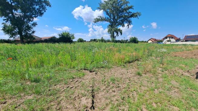 Działka inwestycyjna Ludów Śląski gm. Borów,