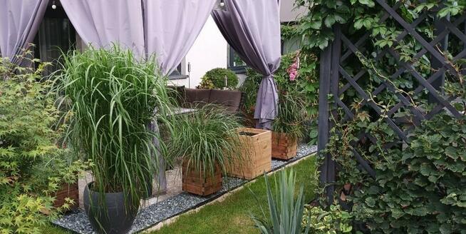 3-pokojowe mieszkanie z ogródkiem w Ząbkach