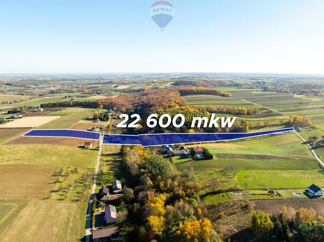 Dom z kawałkiem lasu i bijącym źródłem k\Skały